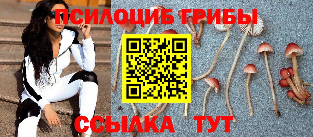 Галлюциногенные грибы MAGIC MUSHROOMS Вязники