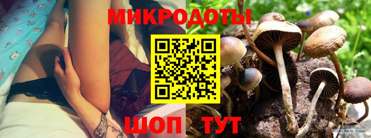 Галлюциногенные грибы мухоморы  Псилоцибиновые грибы прущие грибы  Вязники  Вход с VPN 